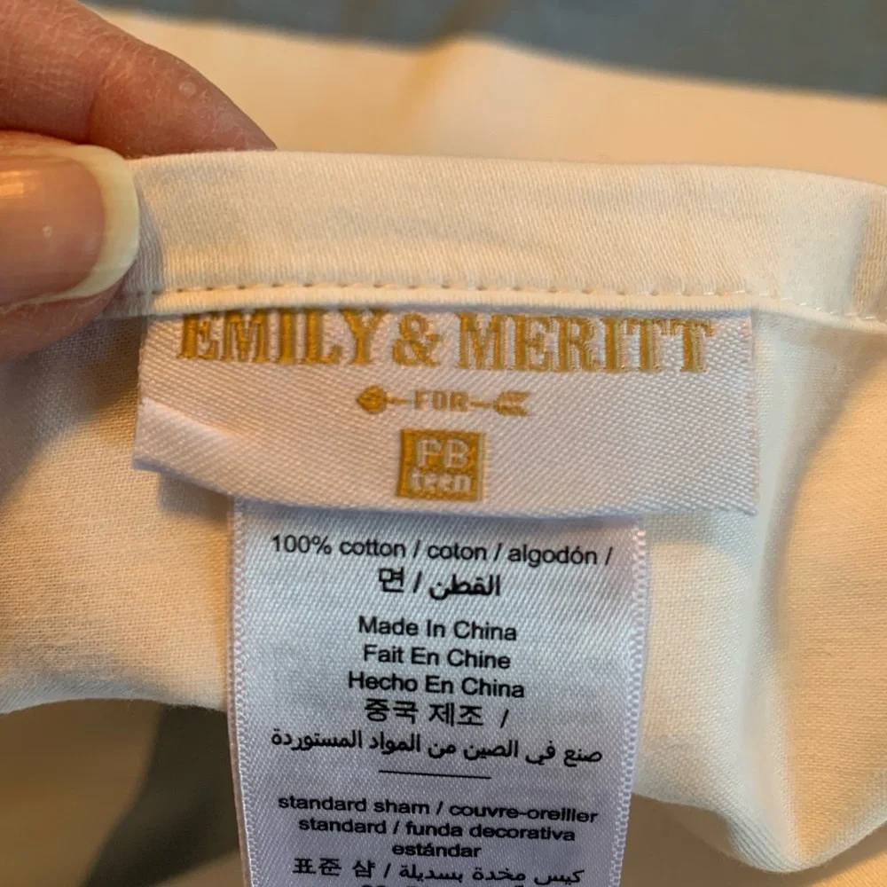 Pottery Barn Emily & Meritt shams
